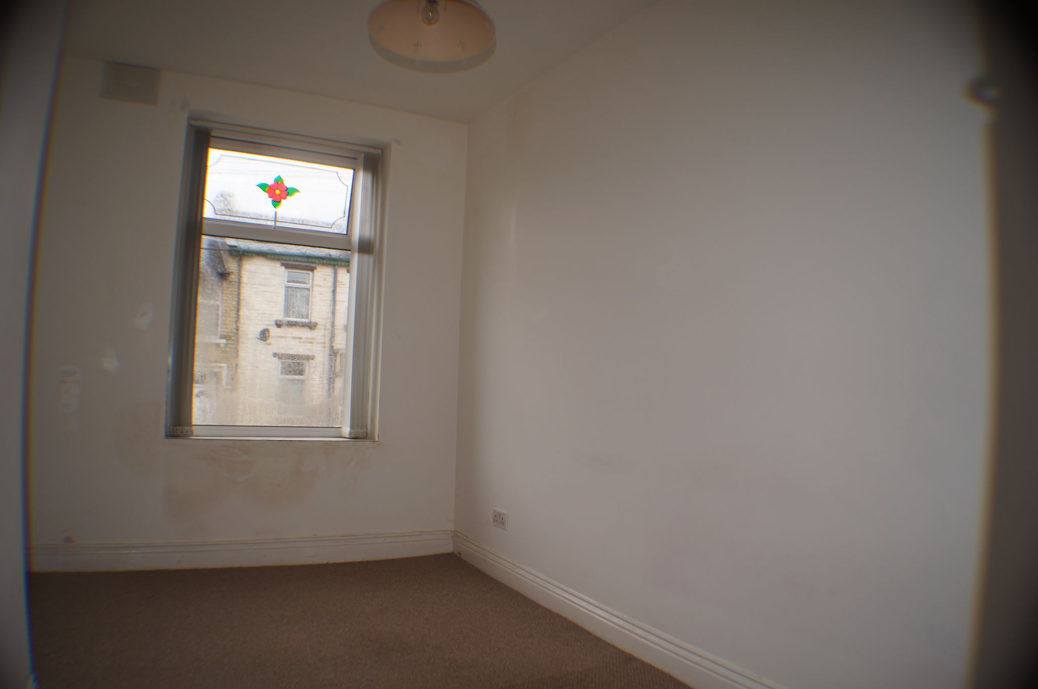  - Photograph 5