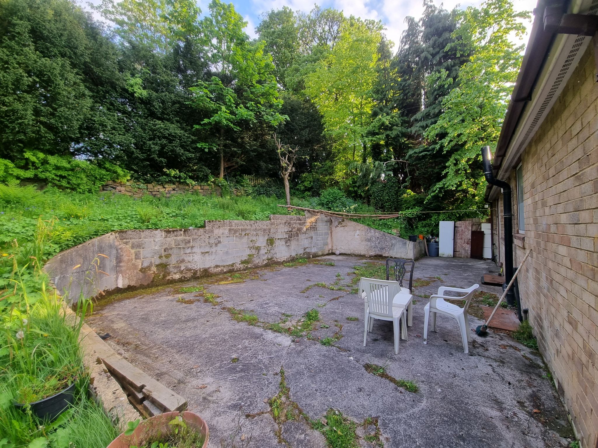  - Photograph 20