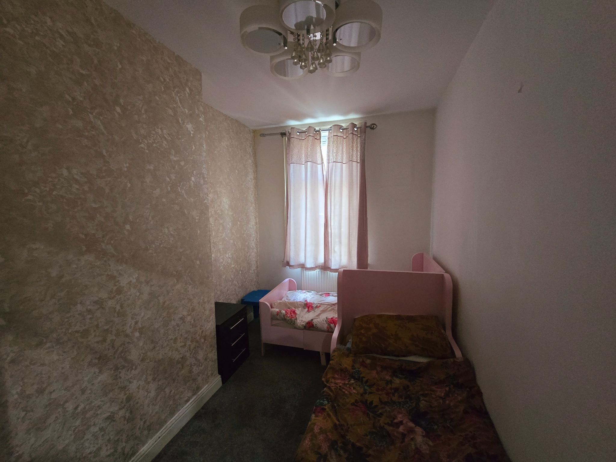  - Photograph 5