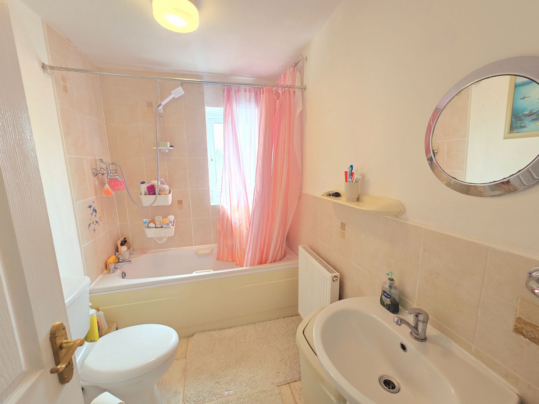  - Photograph 23