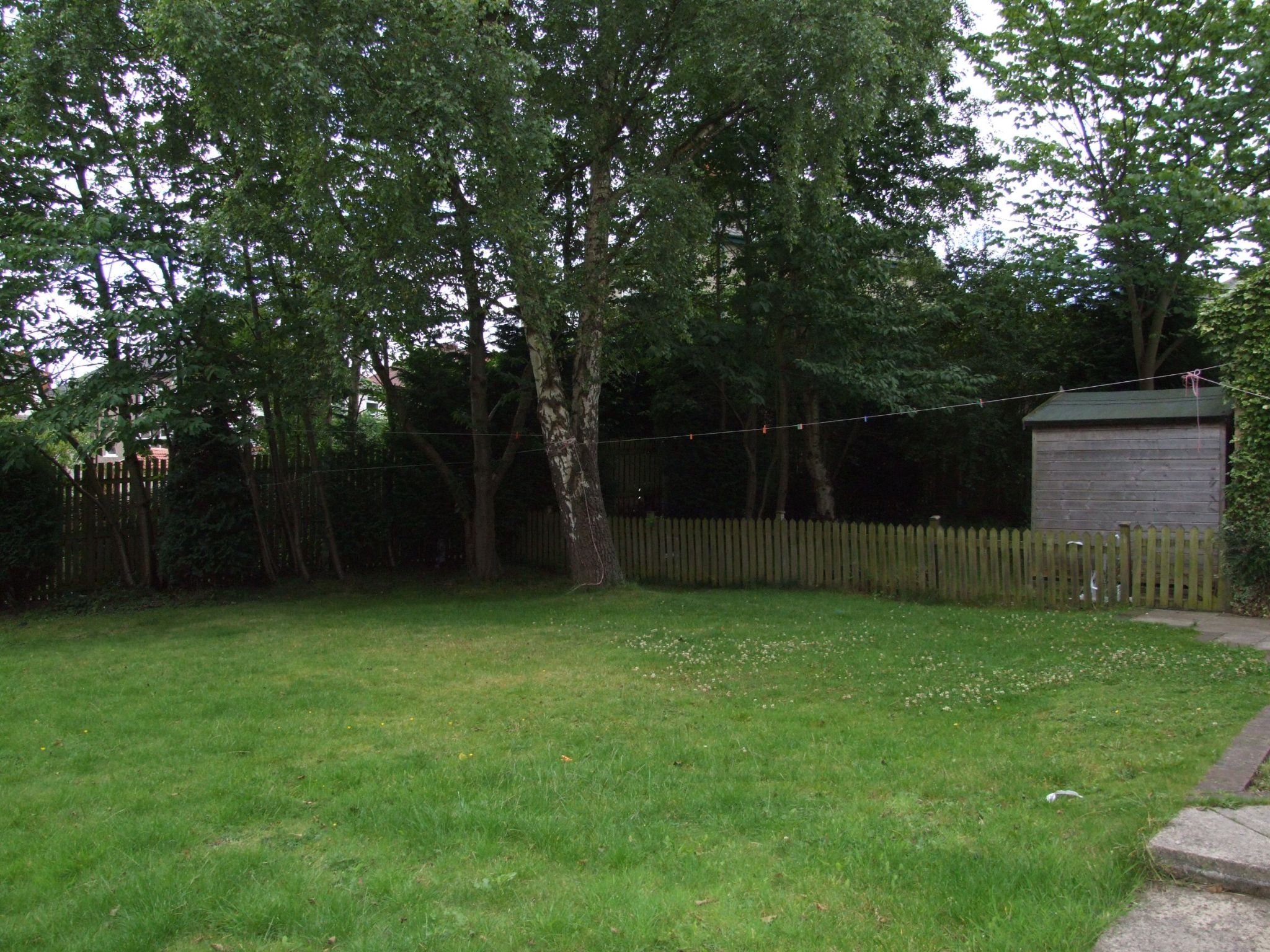  - Photograph 6