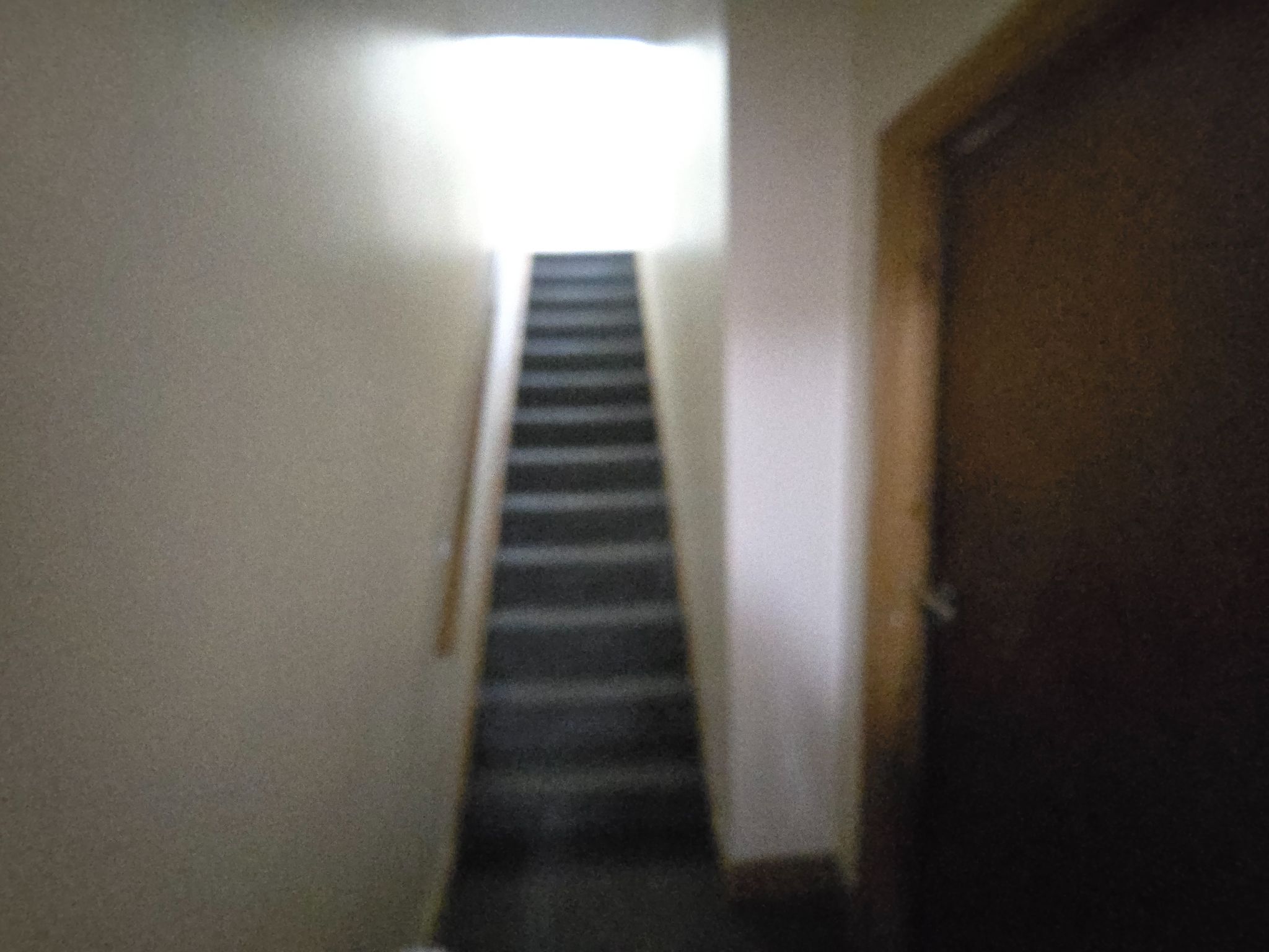  - Photograph 6