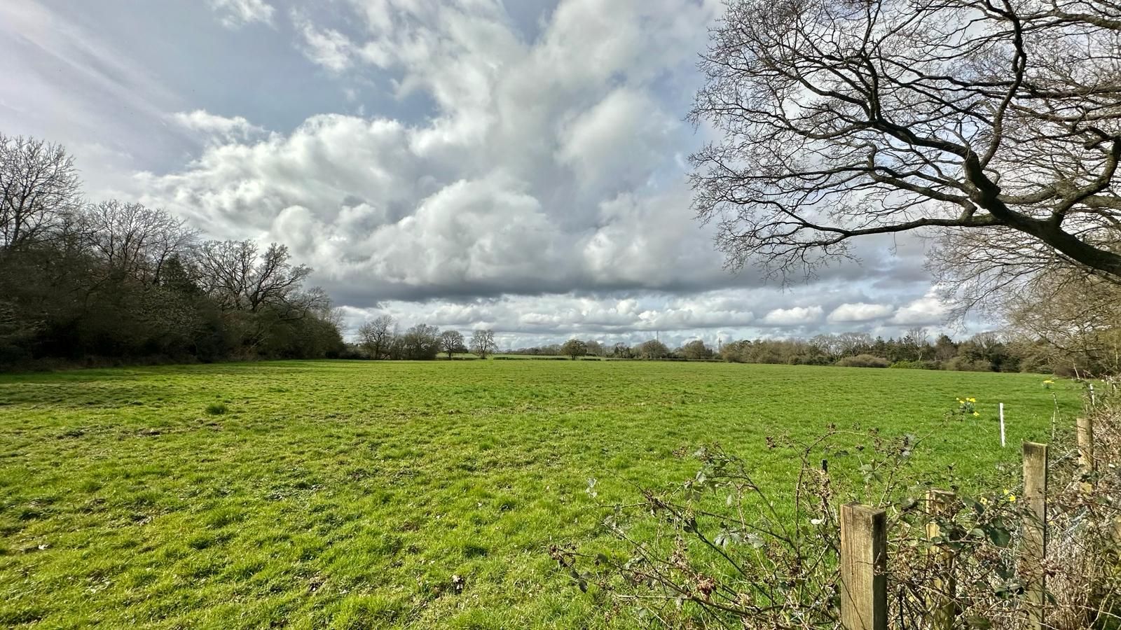 4 bedroom detached bungalow Sold in Coventry - Photograph 23.