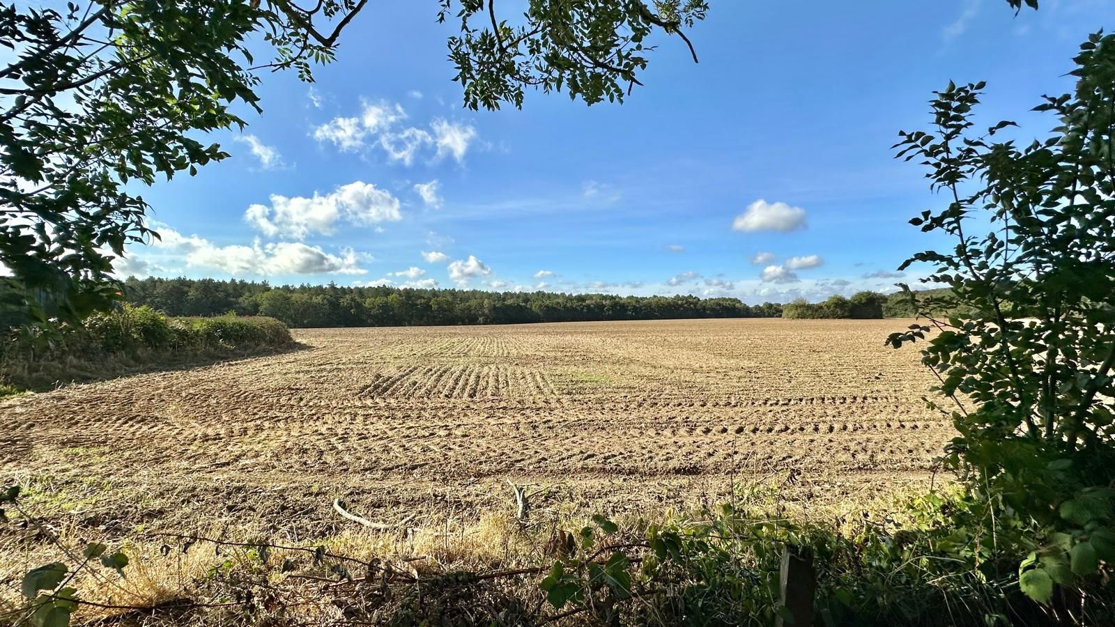 4 bedroom mid terraced house Sold in Coventry - Photograph 27.