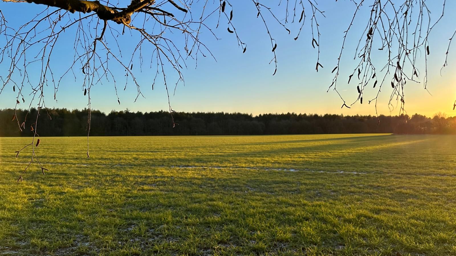 3 bedroom mid terraced house SSTC in Coventry - Photograph 23.