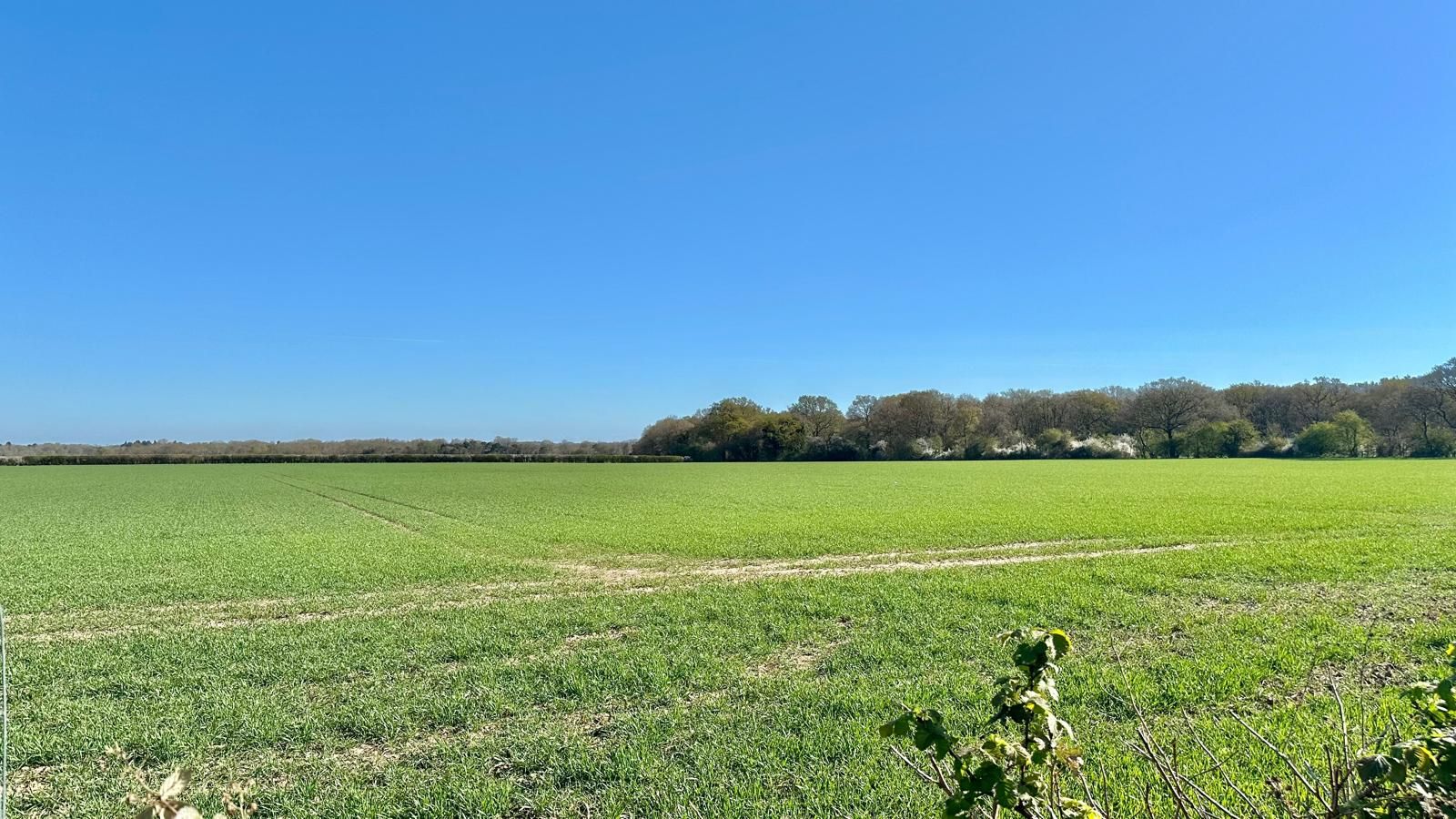 3 bedroom semi-detached house Sold in Coventry - Photograph 26.
