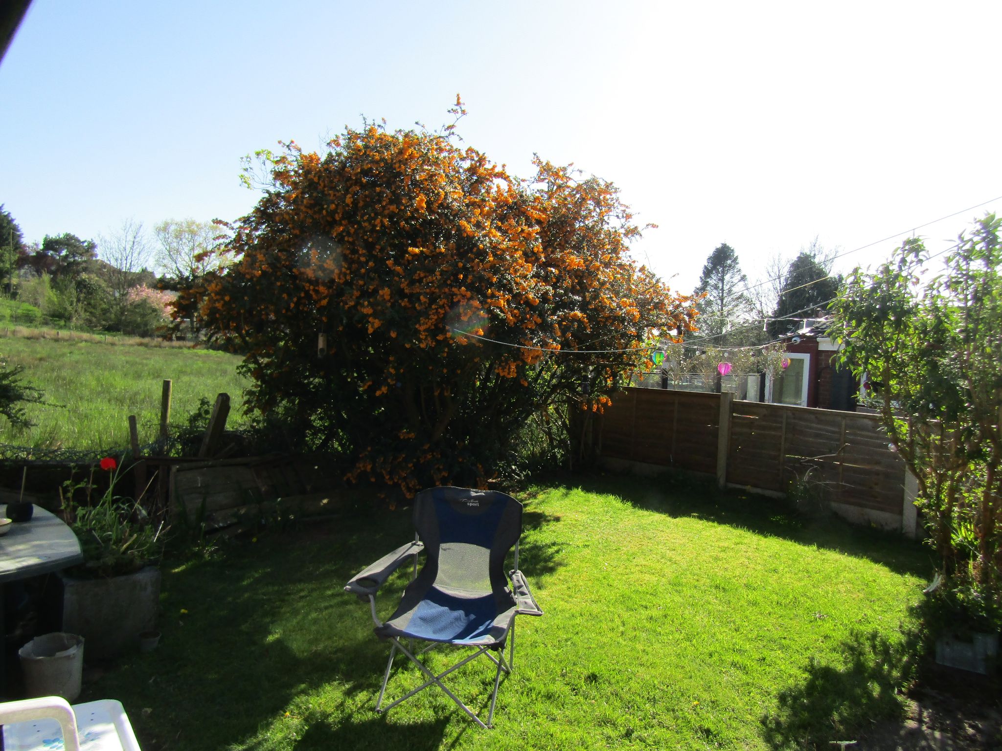 2 Bed Semi-detached Bungalow For Sale - Photograph 2