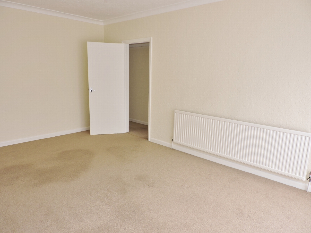 2 bedroom detached bungalow Let in Epsom - Photograph 4